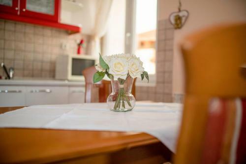 Apartmani Sanjin Tariba