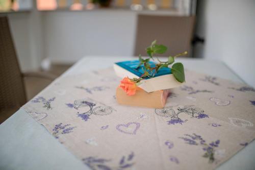 Apartmani Sanjin Tariba