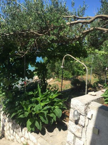 Hostal Apartments And Rooms Krstina