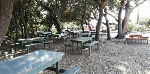 Apartamento Monolocale In Residence