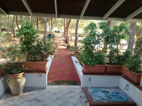 Hostal Case Vacanze Irene