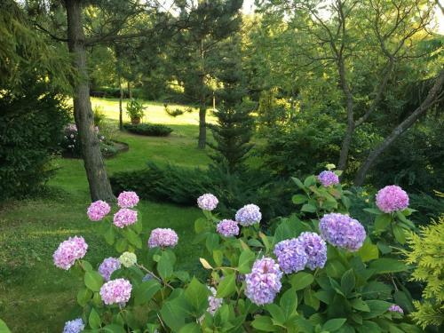 Lapalice Holiday Home
