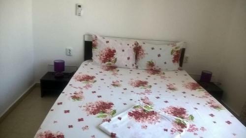 Hostal Casa Ancora Sulina