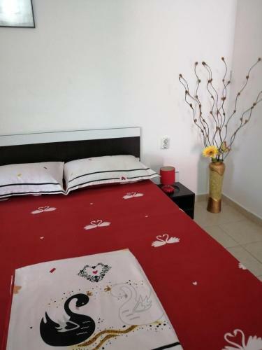 Hostal Casa Ancora Sulina