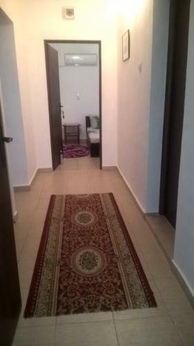 Hostal Casa Ancora Sulina
