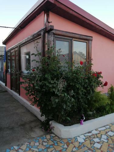Hostal Casa Ancora Sulina