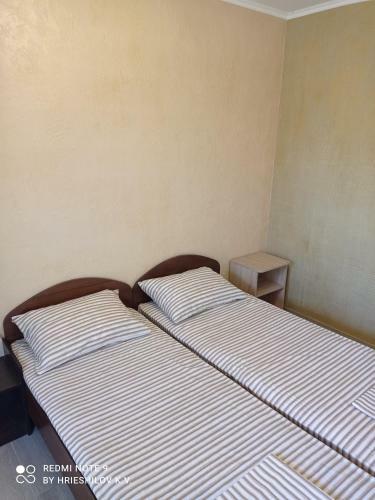 Hostal Oduvanchik