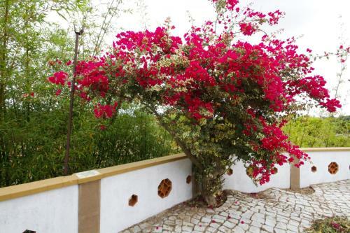 Agroturismo Maison Beatriz