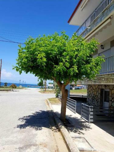 Apartamento Pashalidou Rooms 6
