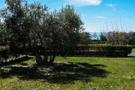 Ani Villa-anemi Beach