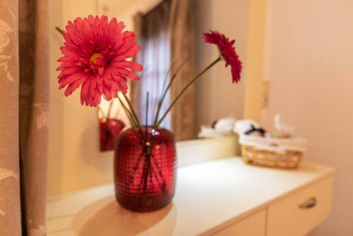 Apartamento Anastasia House