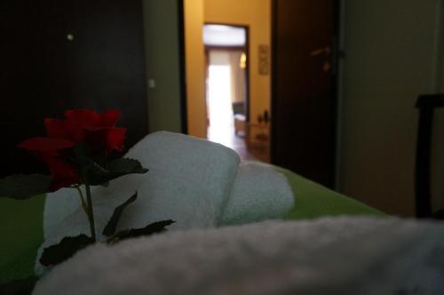 Apartamento Agallis