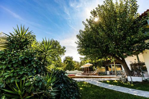 Apartamento Casa Luxury Suites