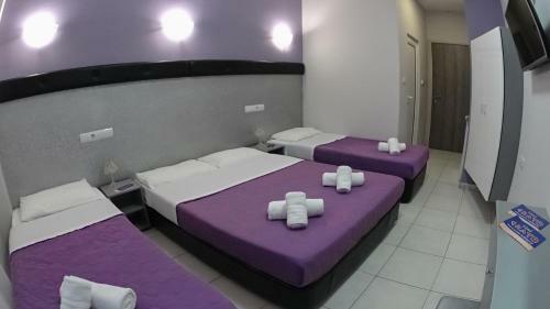 Hotel Erato