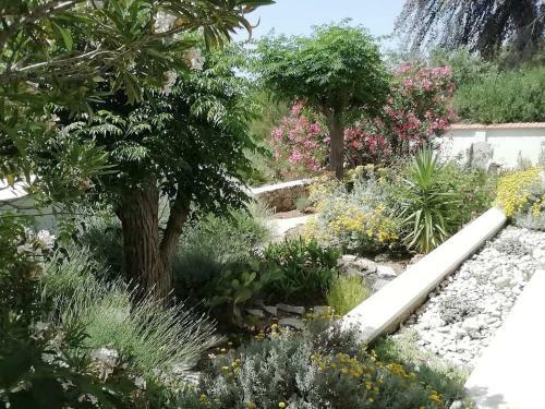 New Apartment With Private Path To Sea