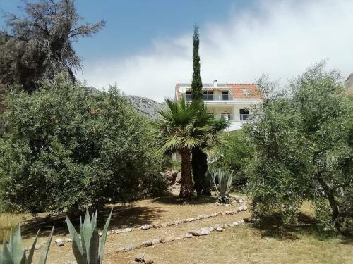 New Apartment With Private Path To Sea