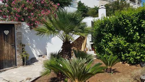 New Apartment With Private Path To Sea