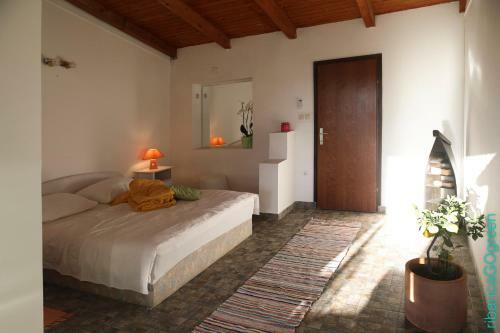 Apartamentos Ribarica Go Green