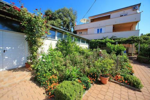 Sunny Apartments