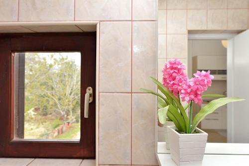 Apartamento Lela 1