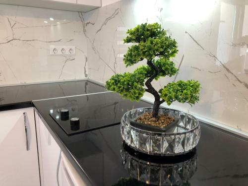 Apartman Luce