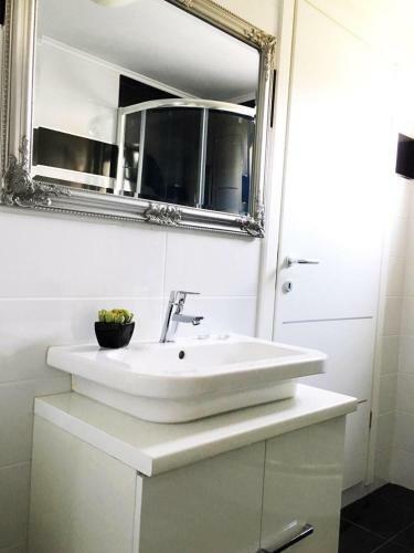 Apartman Luce