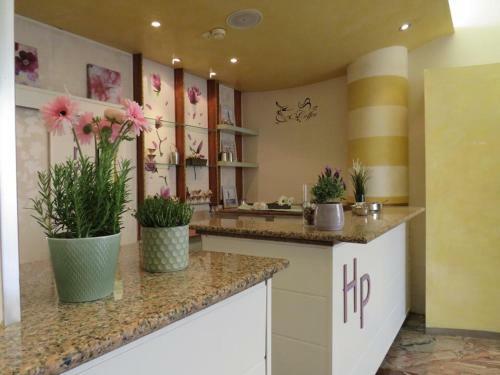 Hotel Primula
