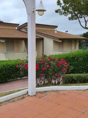 Apartamento Appartamento UNA Camera Da Letto La Pace Tropea