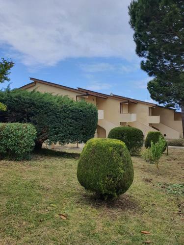 Apartamento Appartamento UNA Camera Da Letto La Pace Tropea