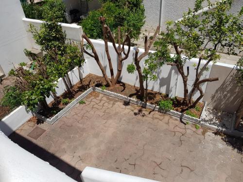 Apartamento Villino Isla