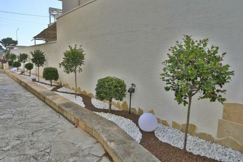 Bed & Breakfast A Casa Di Sofia