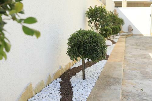 Bed & Breakfast A Casa Di Sofia