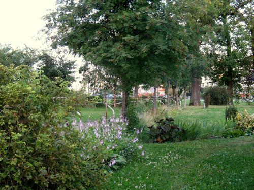 Apartamenty Stajni Jazon Malbork