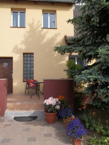Apartamenty Stajni Jazon Malbork