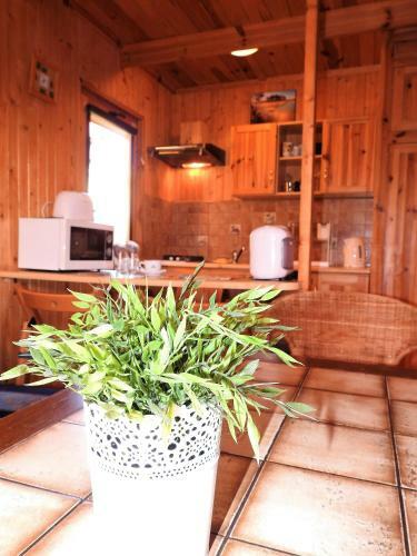 Lodge Domki U Skrzata Drewniane