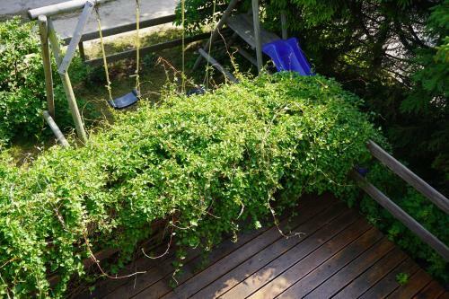 Apartamento Niebieskie Lato
