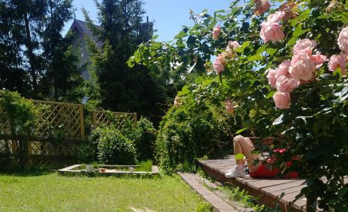 Apartamento Niebieskie Lato