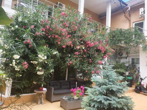 Apartamento Casa Ap Dayana