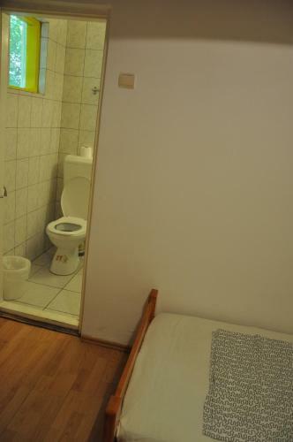 Villa Pensiunea Rustic