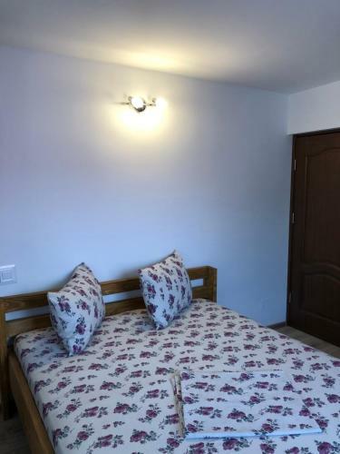 Hostal Casa Doi Stejari