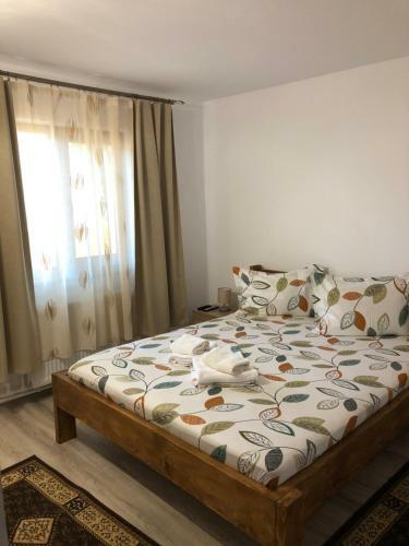 Hostal Casa Doi Stejari
