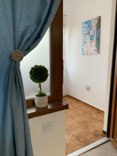 Hostal Vila Odu