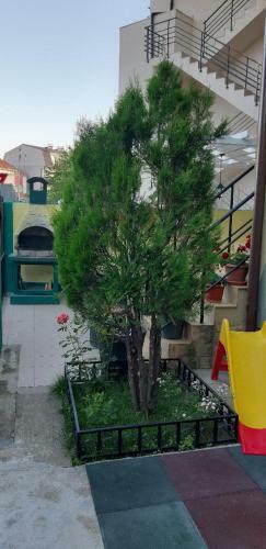 Hostal Green House 2