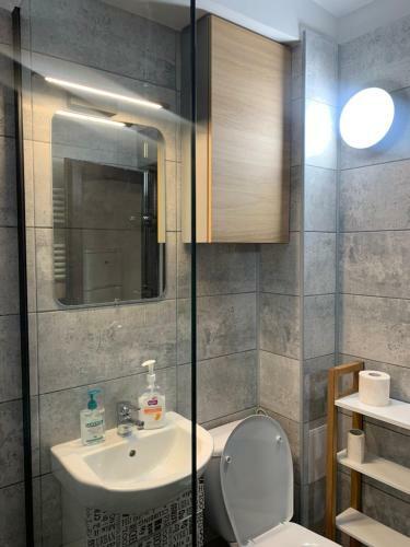 Apartamento Garsoniera Gabriel