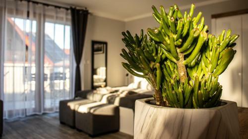 Apartamento Willa Alexandra II