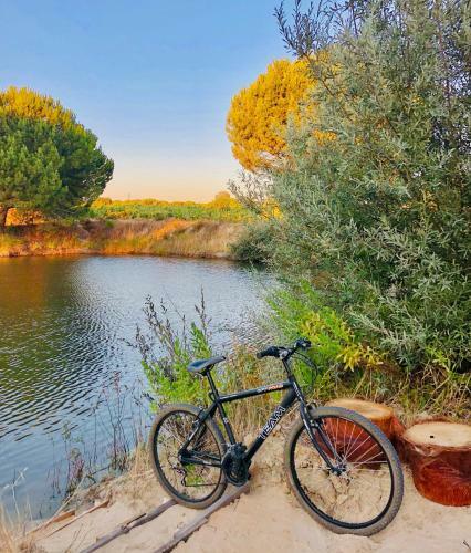 Villa Casas Das Pi�arras - Alentejo
