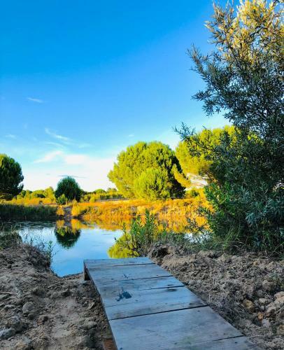 Villa Casas Das Pi�arras - Alentejo