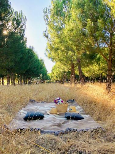 Villa Casas Das Pi�arras - Alentejo