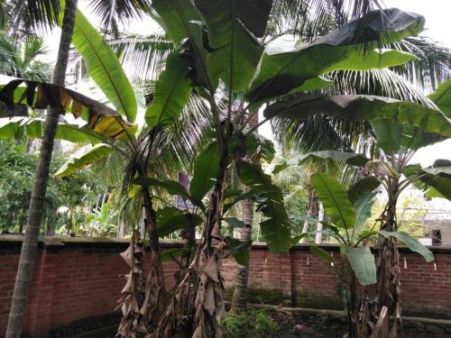 Villotale Kollam Ah
