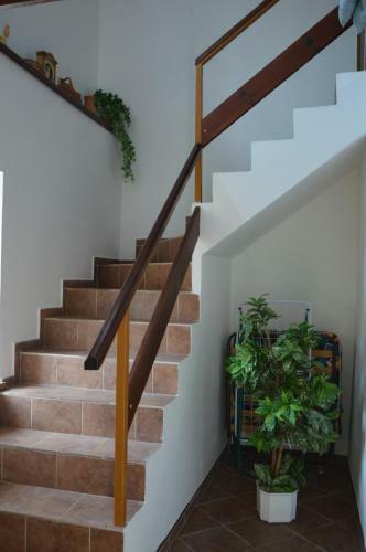 Apartm�n Na Kosk�ch
